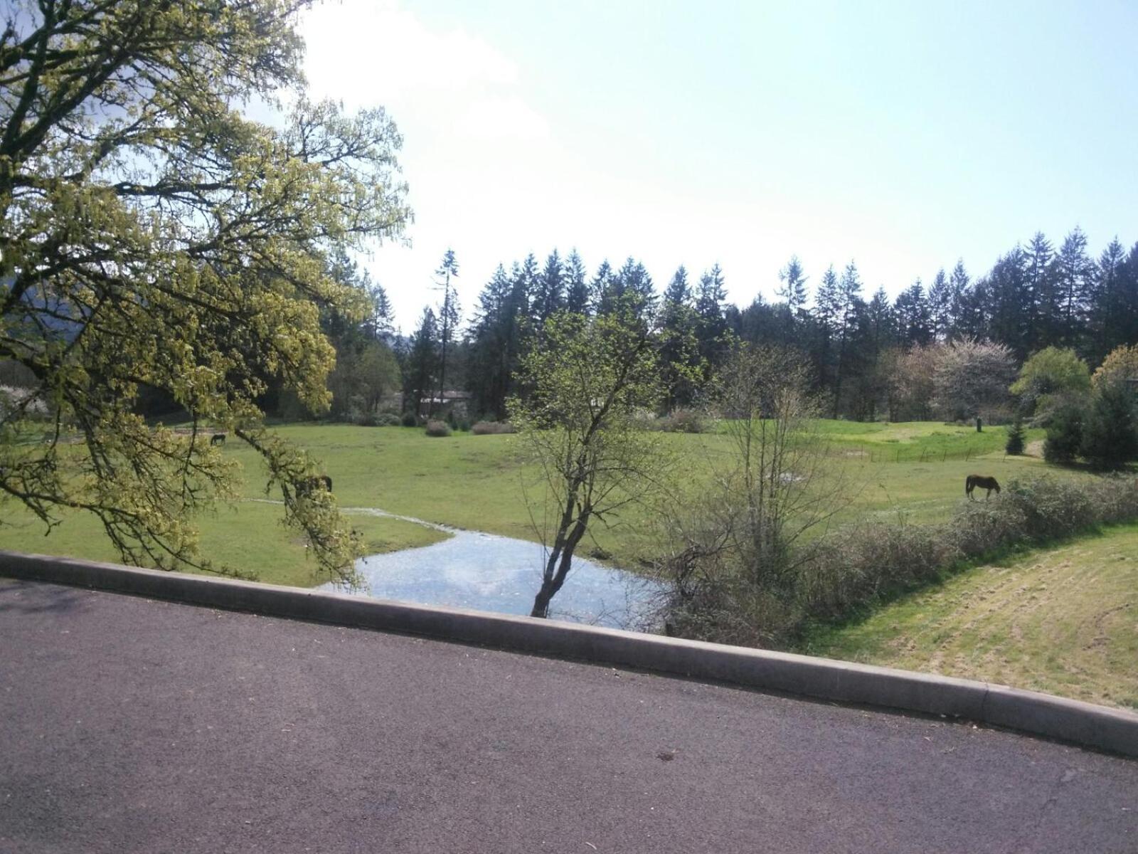 Vancouver WA Beautiful Apartment Woodland Extérieur photo