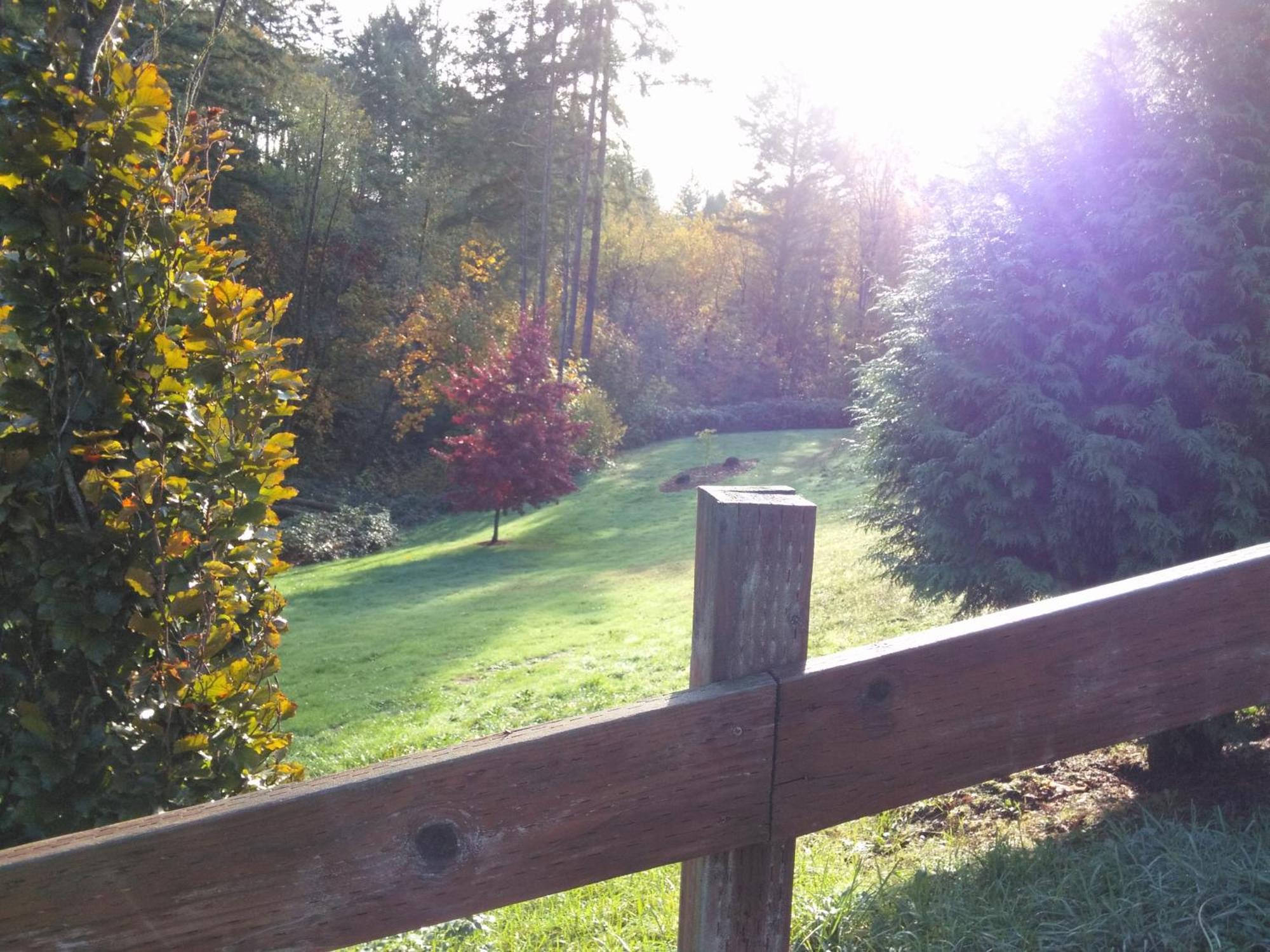 Vancouver WA Beautiful Apartment Woodland Extérieur photo